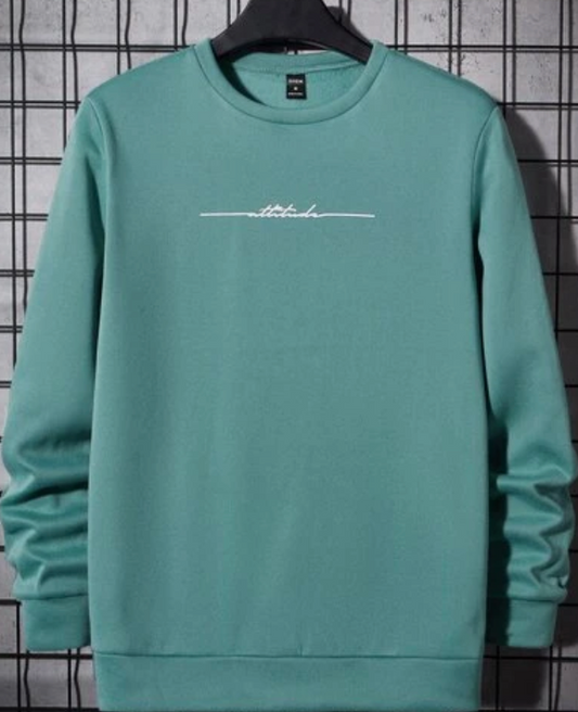 Teal Sweatshirt